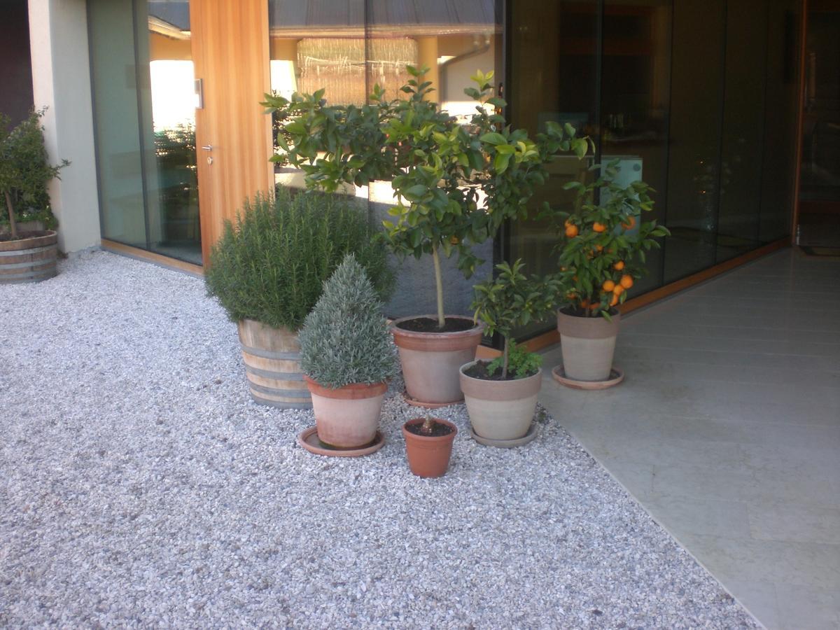 Ferienwohnung Biobauernhof St. Quirinus Kaltern Exterior foto